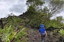 Lava Flows Trail Mirador El Silencio tour