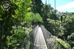 metal suspension bridge Mistico Hanging Bridges