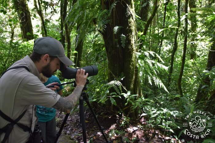 Guide with scope in Monteverde