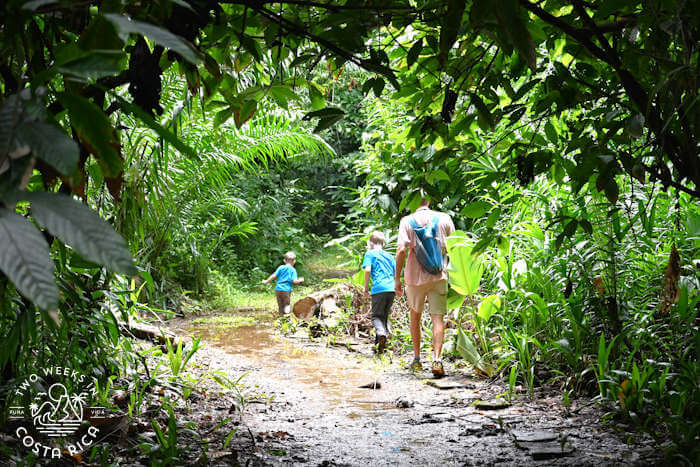 family walking on trail through jungle 