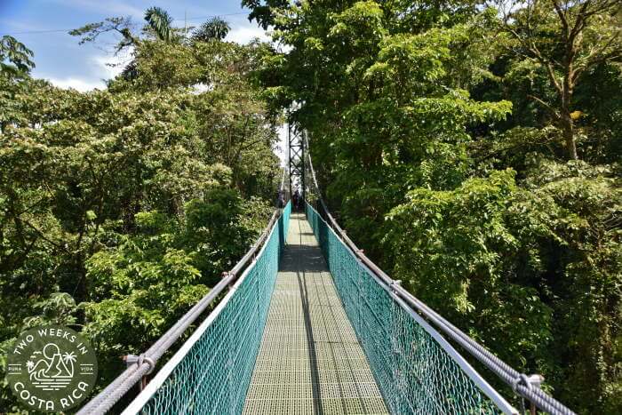 Sky Adventures Hanging Bridge Hike