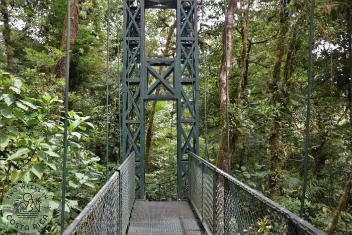 Sturdy hanging bridge
