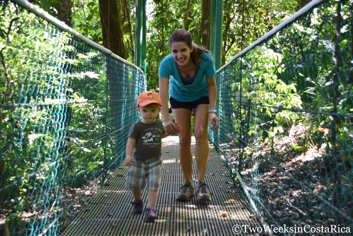 4 Years in Costa Rica: Settling Into the Every Day