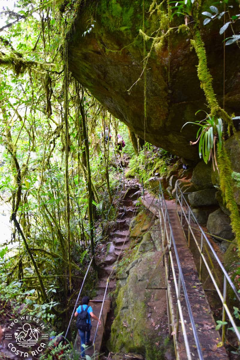 rough terrain on the hike to the san gerardo waterfall