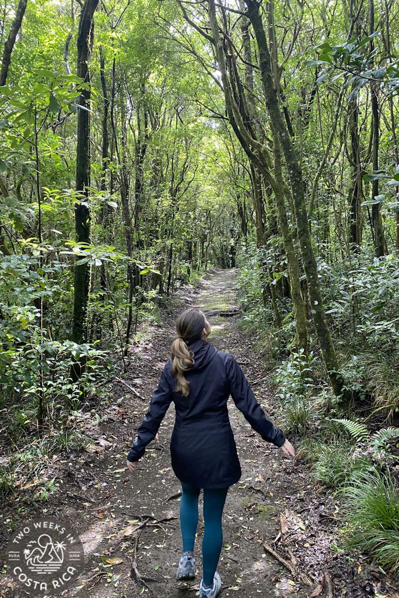 a woman hiking on a trail at the cloud forest lodge in monteverde costa rica