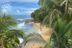 Puerto Viejo de Talamanca