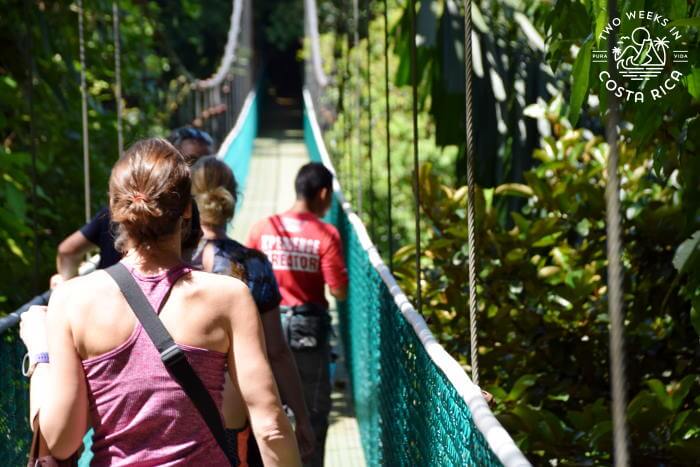 Naturalist Guides Costa Rica
