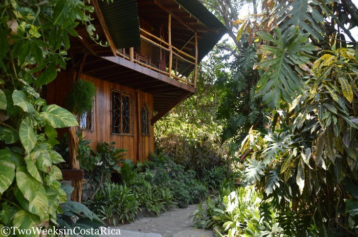 Outside of a wooden cabin at Hotel Amor de Mar in Montezuma, Costa Rica 