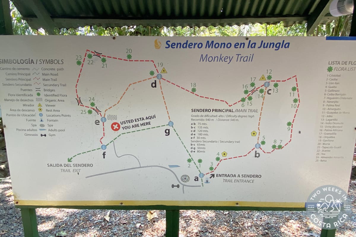 picture of a map with text that reads monkey trail