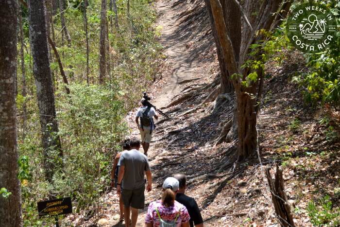 Guided Nature Hike Samara
