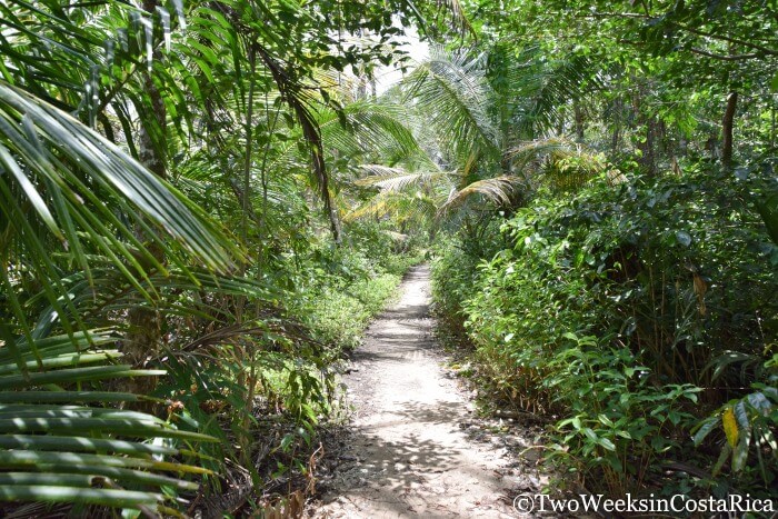Cahuita National Park in Costa Rica