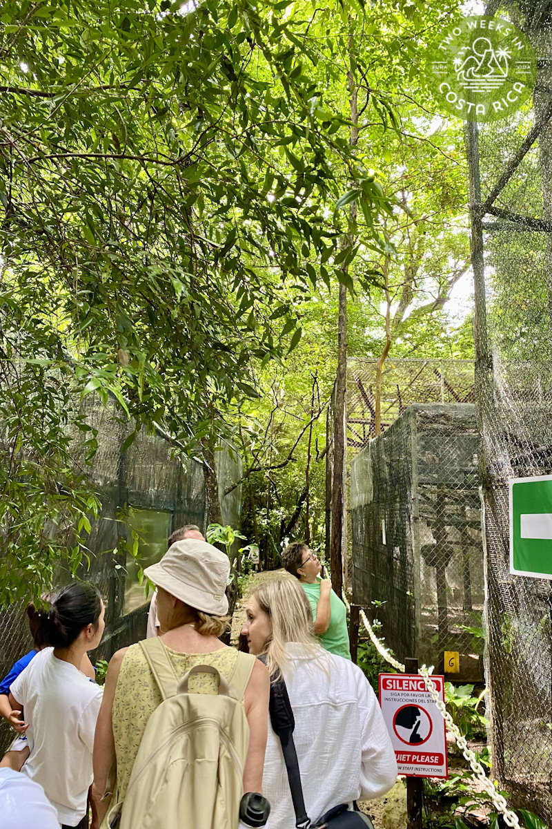 families taking a wildlife sanctuary tour in nosara