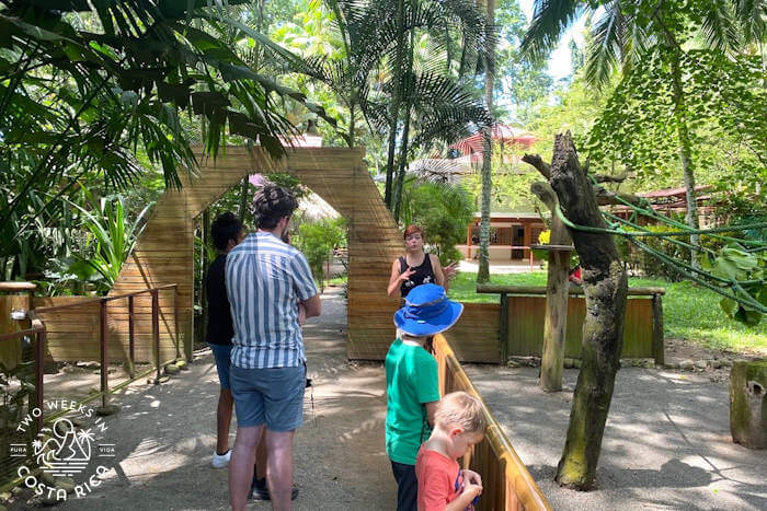 tour guide in front of small group in tropical setting