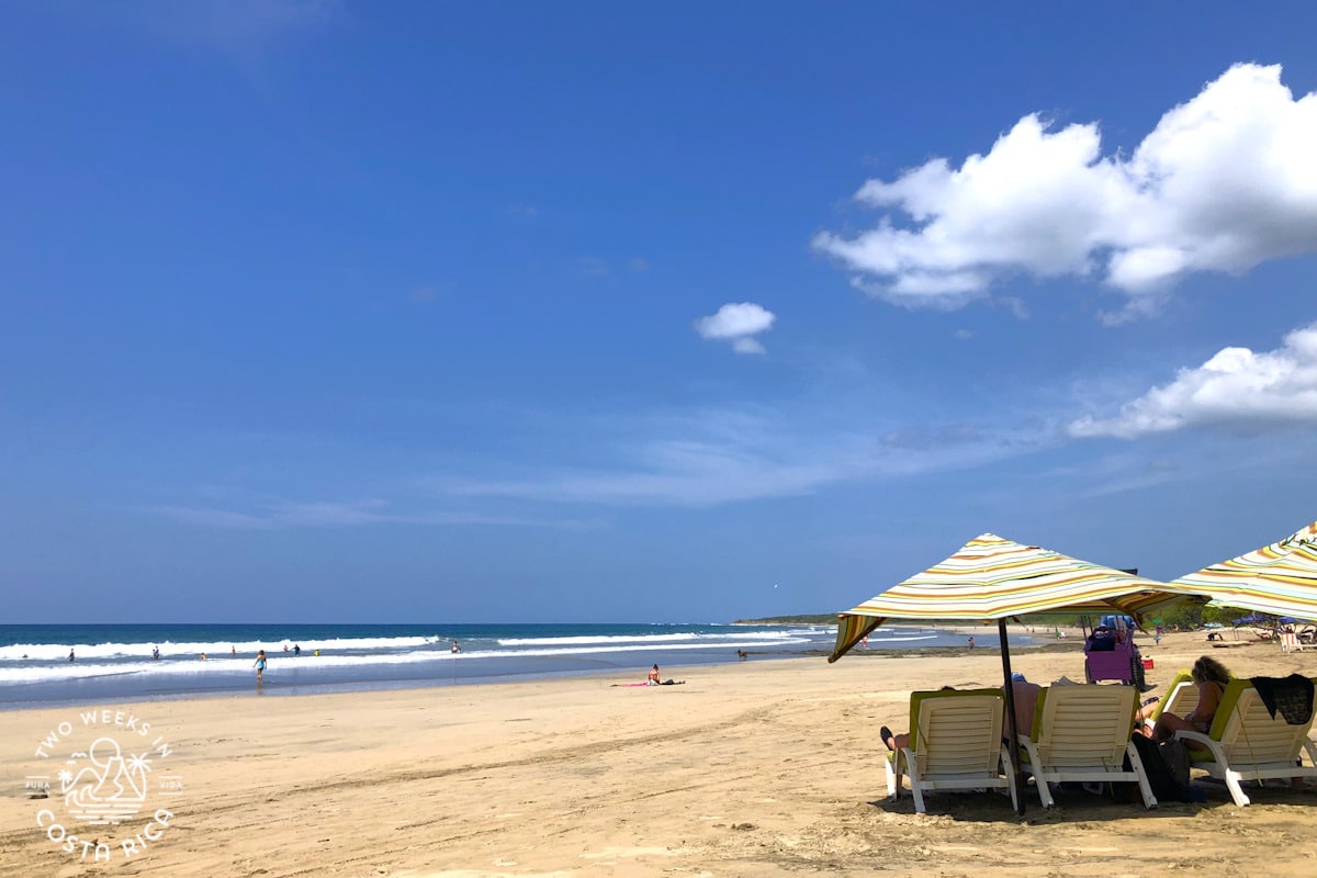 a white sand beach with beach chairs and blue sky