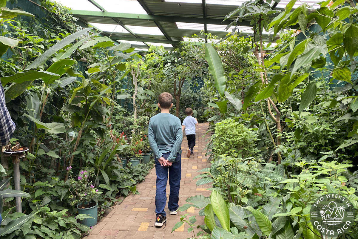 kids inside the beach butterfly enclosure