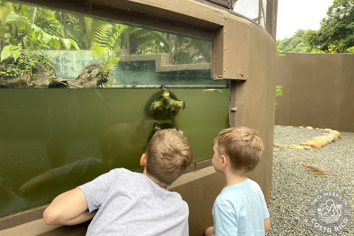 kids at parque reptilandia in costa rica