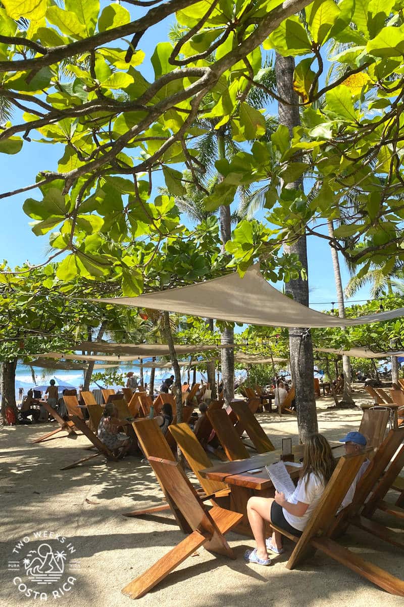 people sitting at tables under the trees at lolas beach bar in costa rica