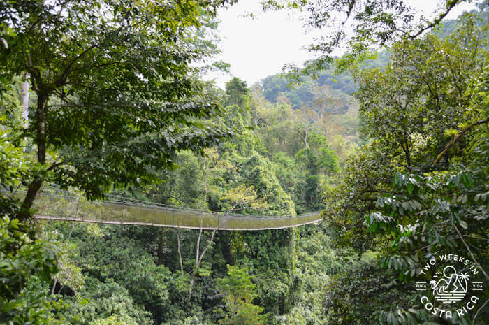 Los Campesinos rural tourism