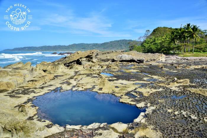 Mal Pais Tide Pools Guide to Visiting