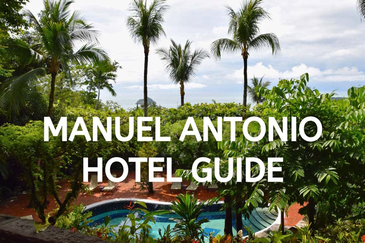pool with palm trees and text overlay that reads manuel antonio hotel guide