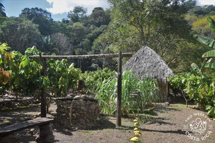 Mayan House