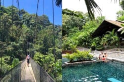 two images of a hanging bridge and pool with green water