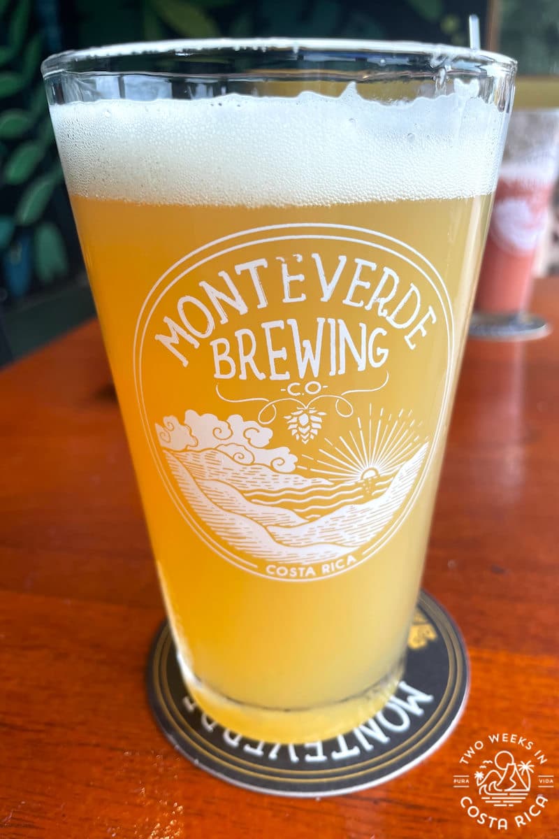 An orange colored beer in a glass with the label Monteverde Brewing Company