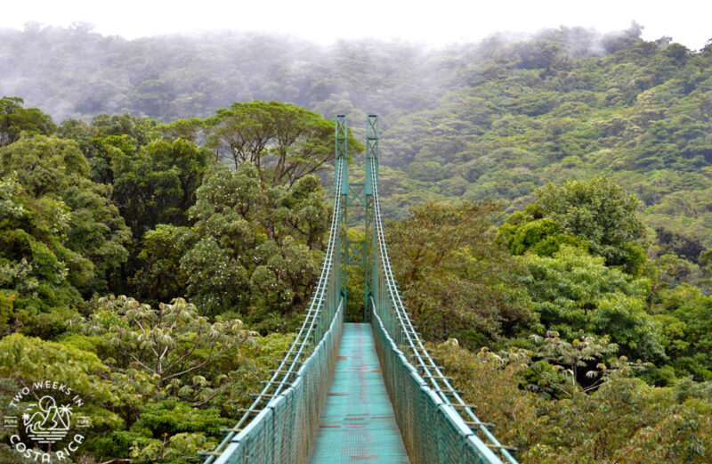 a green hanging bridge in Monteverde, Costa Rica in the cloud forest