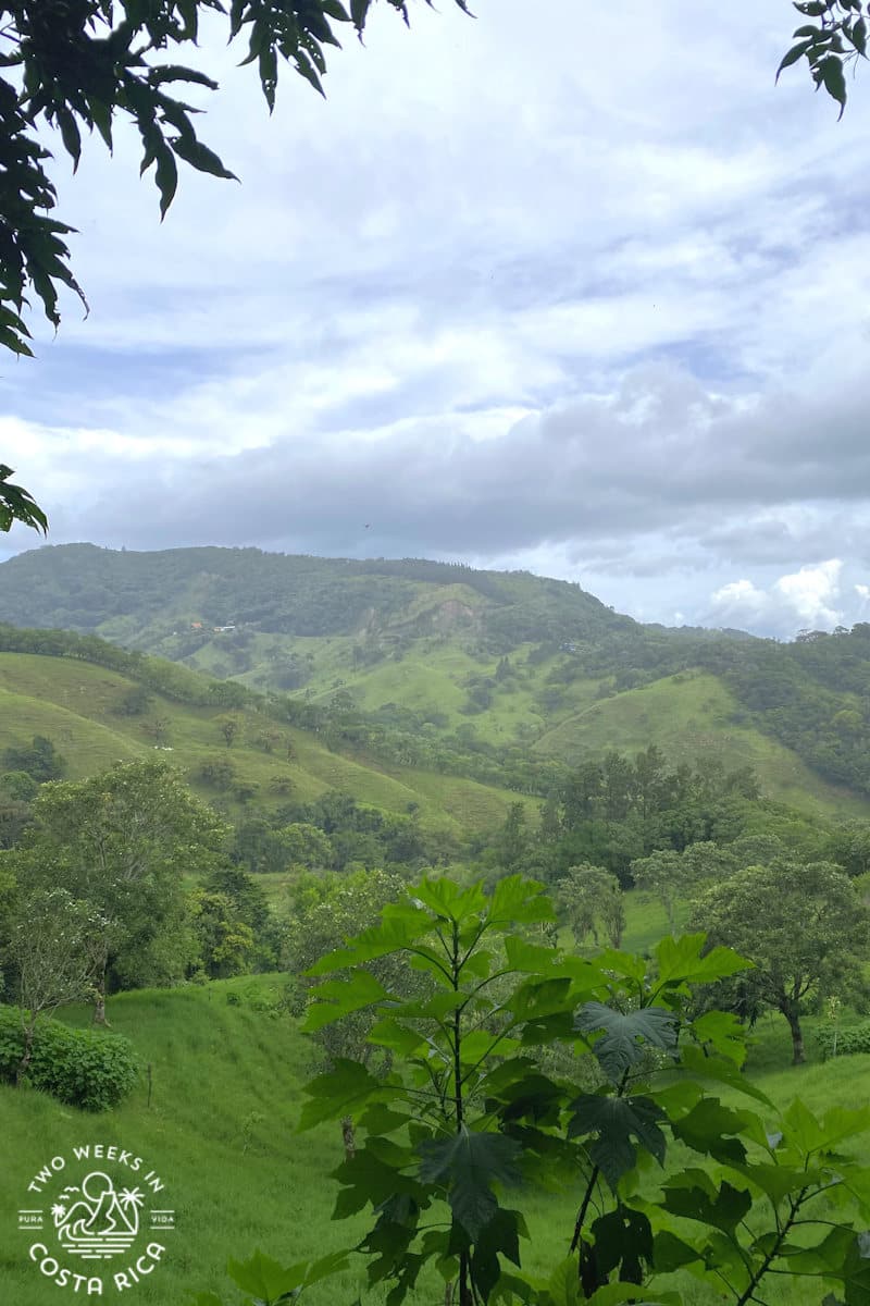 View of rolling green mountains
