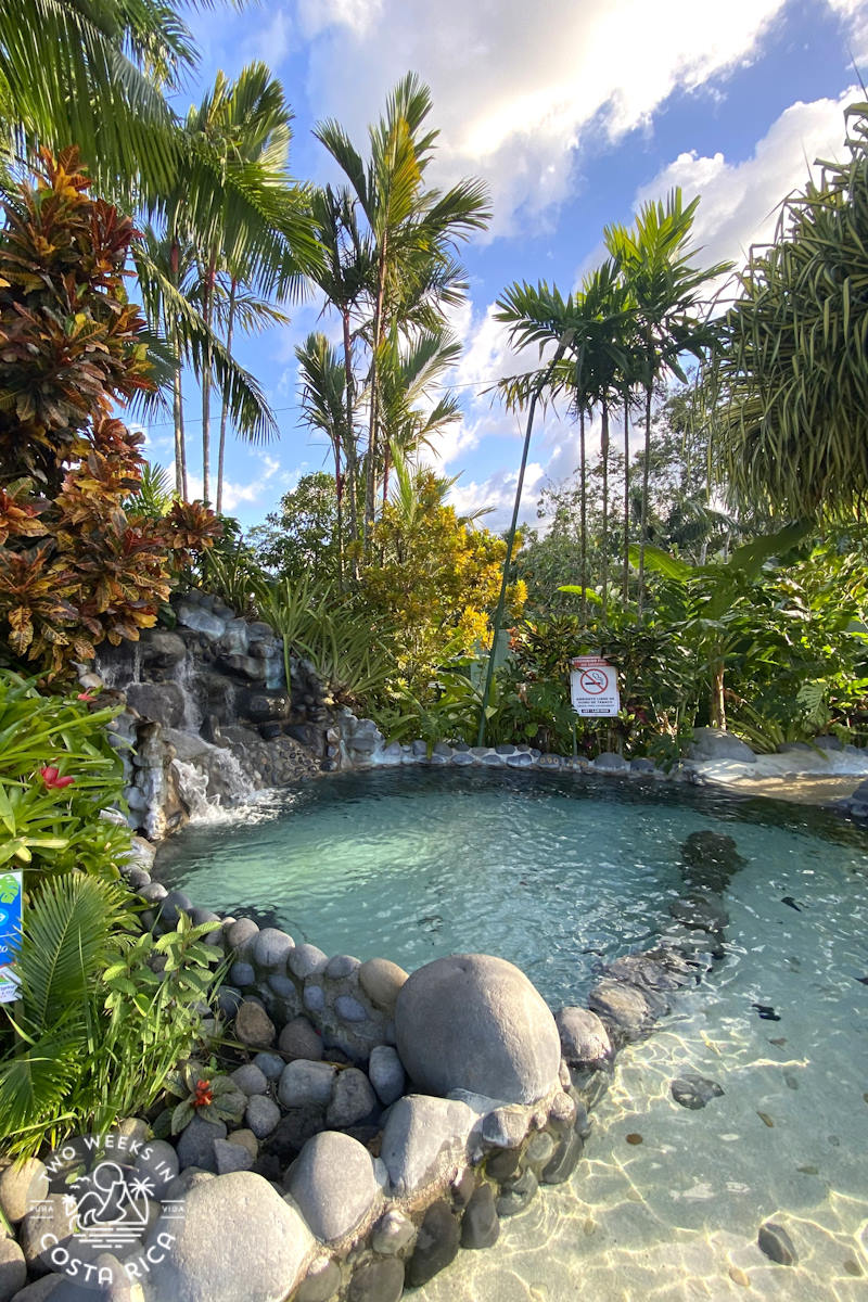 shallow pool with green water and gardens and palm trees surrounding it