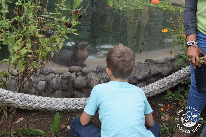 Otter Toucan Rescue Ranch