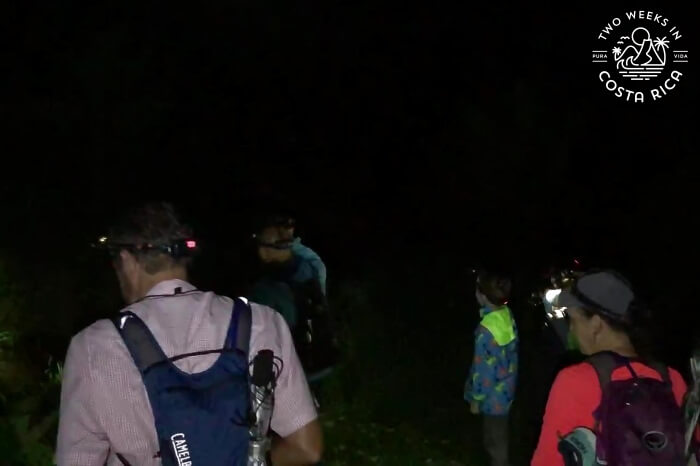 Night Hike Bijagua Ro Celeste