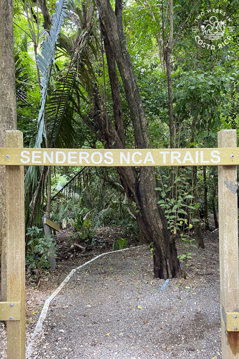 a trail through the forest with a sign that says senderos nca trails