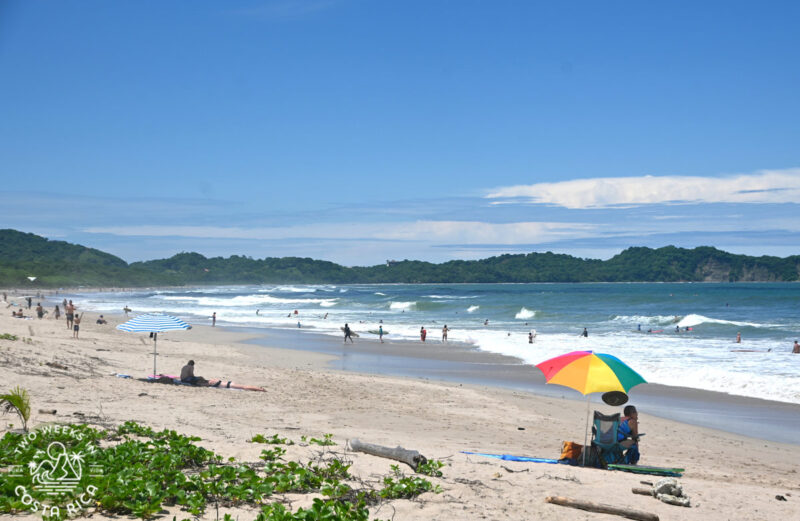 people walking and swimming at the beach in nosara costa rica