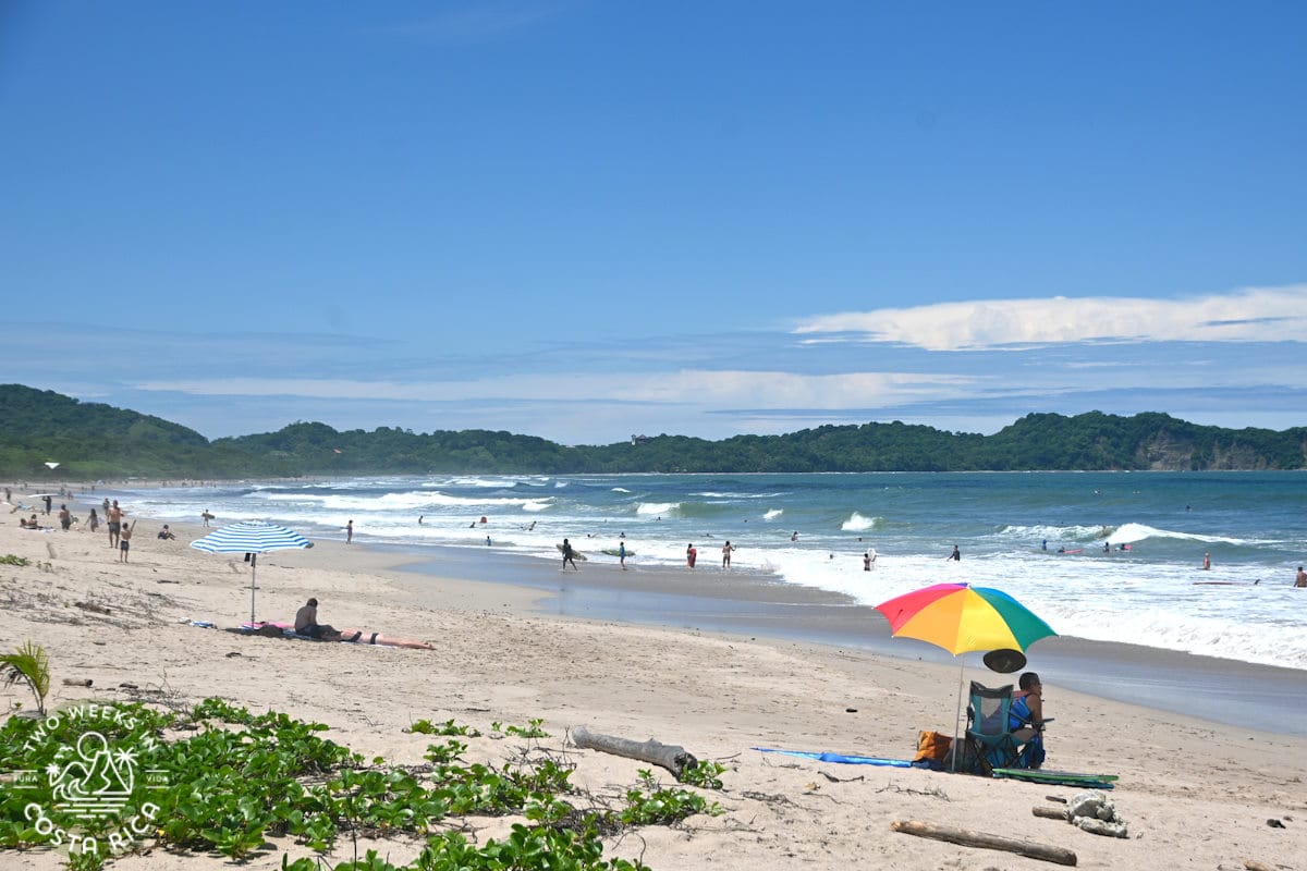 people walking and surfing at the beach in nosara costa rica