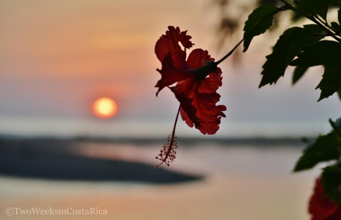 Costa Rica Honeymoon Itinerary | Two Weeks in Costa Rica