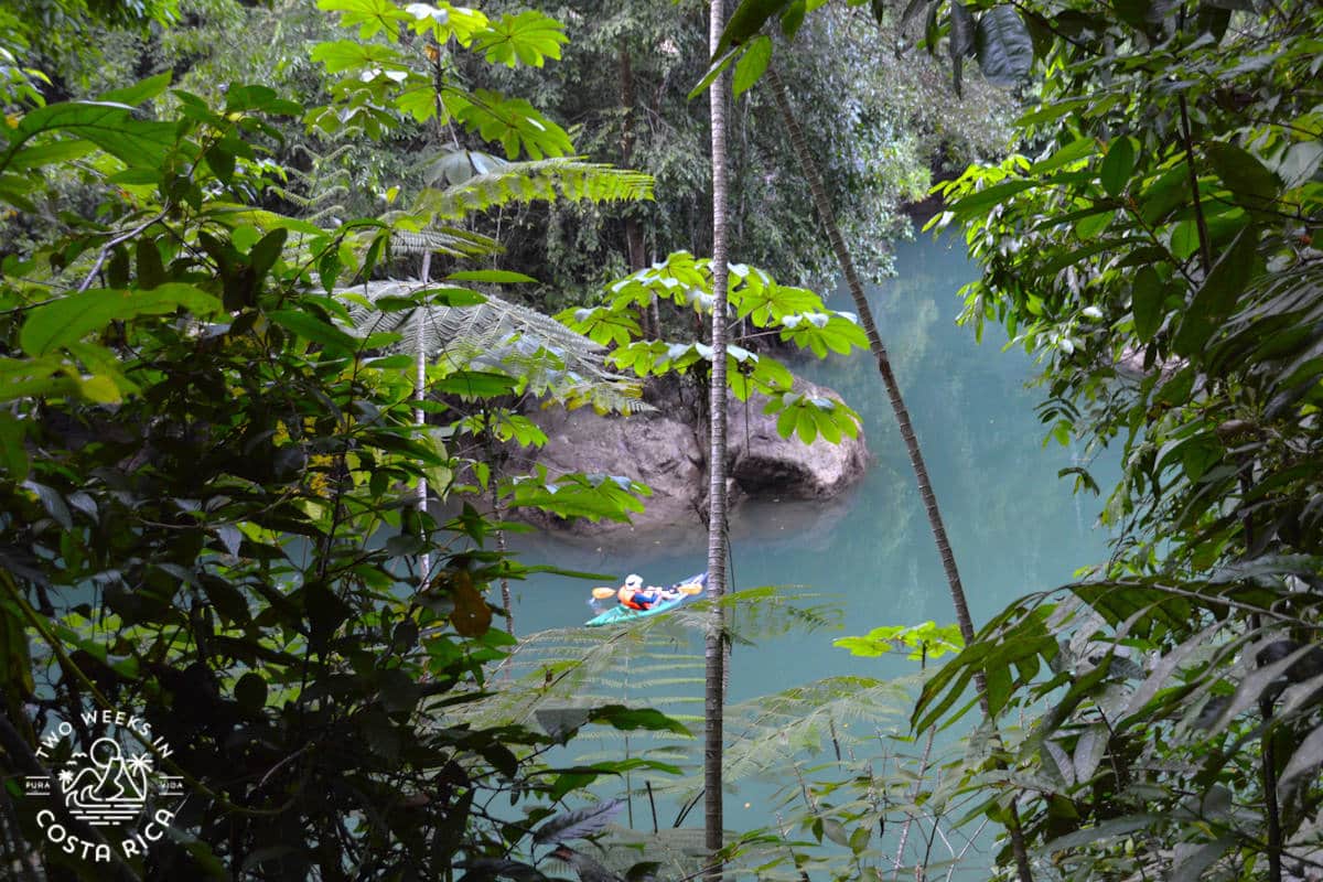 Kayaker on a blue river that is surrounded by jungle