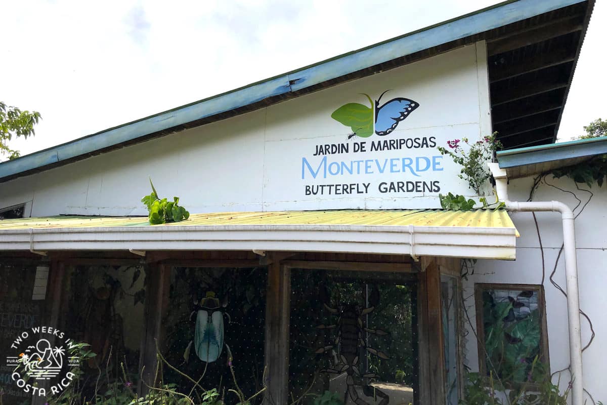 the rustic monteverde butetrfly gardens building