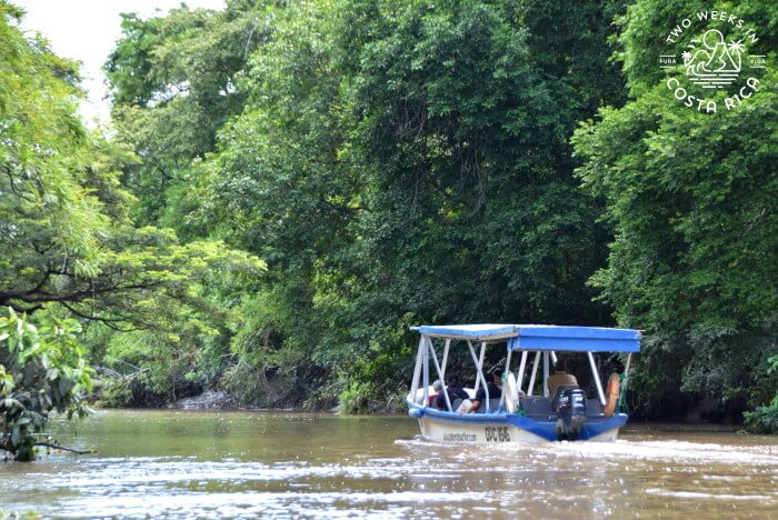Boat Tour Palo Verde National Park