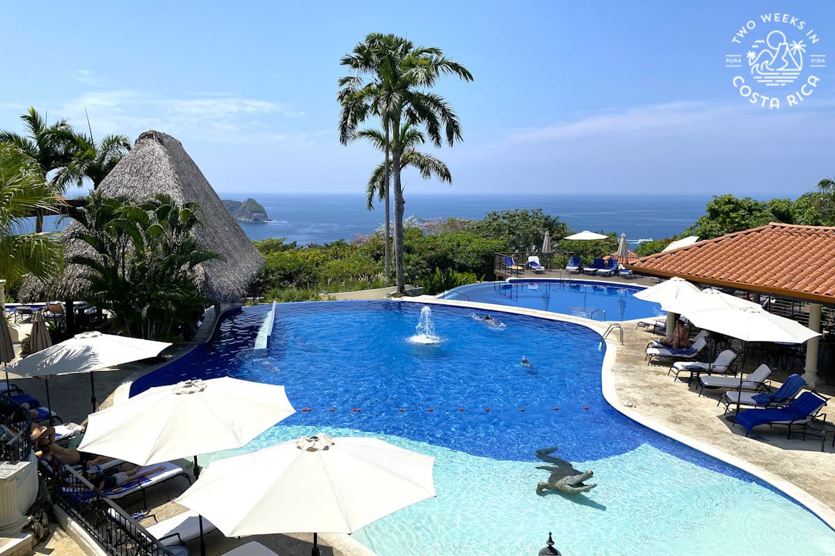 large pool with a palm tree and ocean in the background