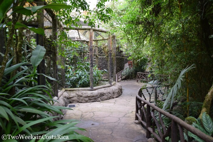 Exhibits at La Paz Waterfall Gardens