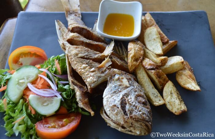 A Taste of Costa Rica: 7 Traditional Foods to Try | Two Weeks in Costa Rica