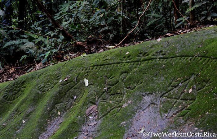 Moss covered Petroglyphs at Los Cosingos Reserve in Costa Rica