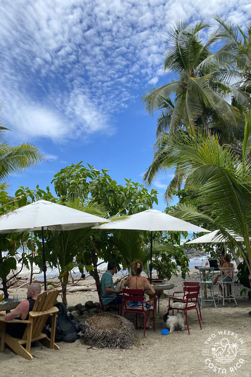 people dining on the beach at playa de los artistas