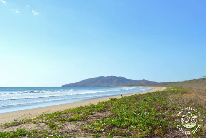 The main golden sand beach in Playa Grande Costa Rica