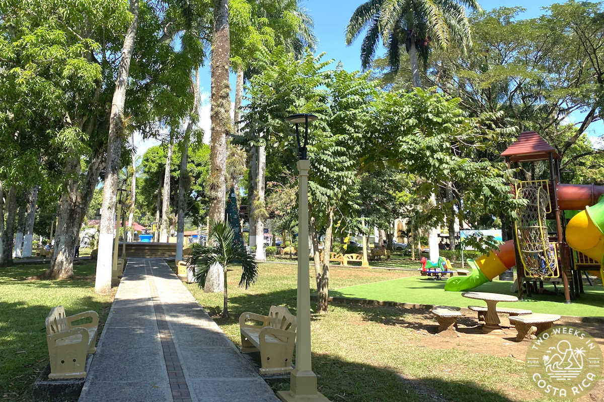 the central park in san mateo with benches and palm trees