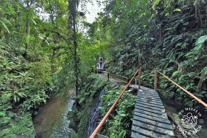 Walkway o\Over River Pozas La Presa