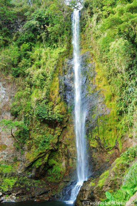Viento Fresco Waterfalls: A Refreshing Stop Between La Fortuna and Monteverde | Two Weeks in Costa Rica