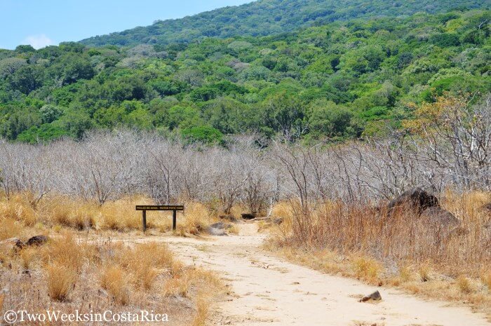 Dry plains at Rincon de la Vieja in Guanacaste's dry season