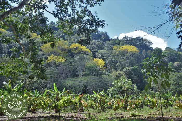 Scenery Mona Golosa Tour